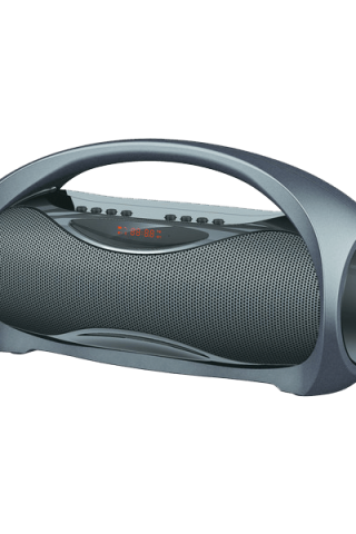 Fusce ullamcorper dapibus